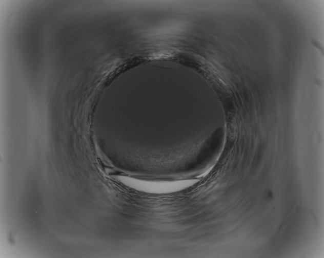 X0000097661441200803071521