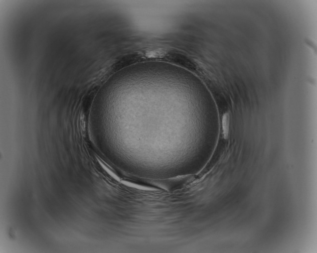 X0000097661443200803071521
