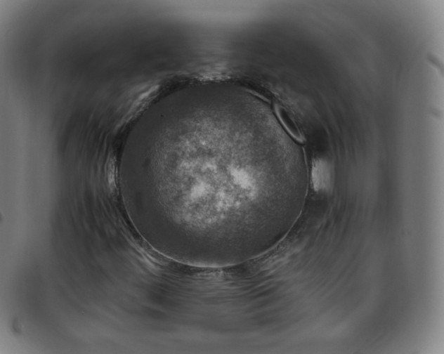 X0000097661444200803071521
