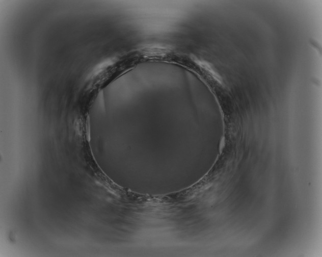 X0000097661445200803071521