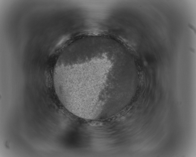 X0000097661446200803071521