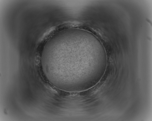 X0000097661447200803071521