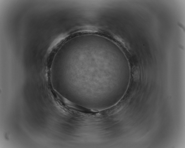 X0000097661448200803071521