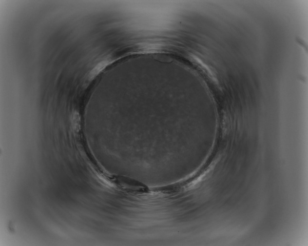 X0000097661449200803071521