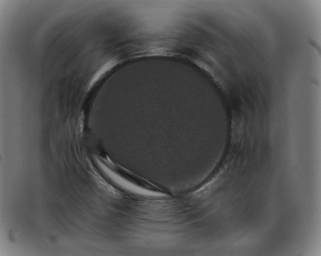 X0000097661450200803071521