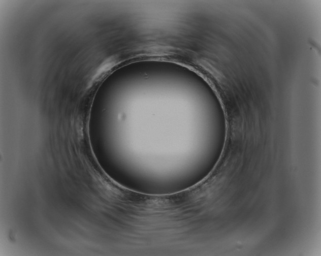 X0000097661451200803071521