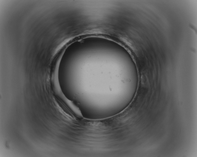 X0000097661452200803071521