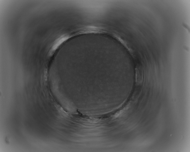 X0000097661453200803071521