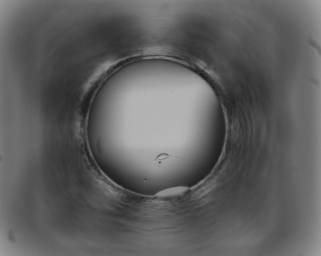 X0000097661454200803071521