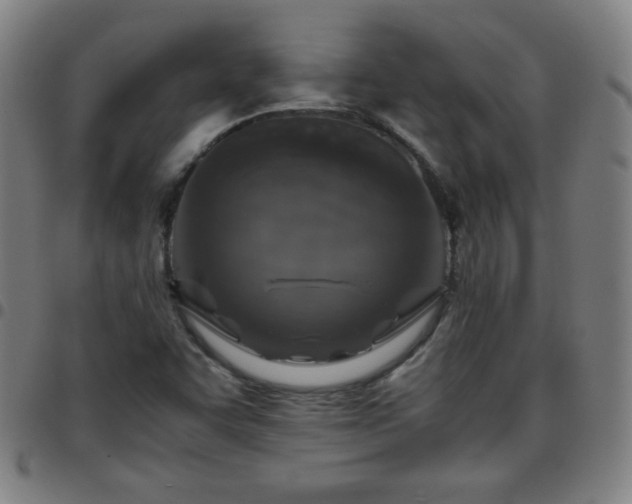 X0000097661455200803071521