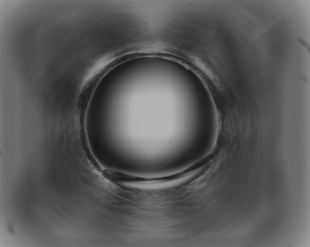 X0000097661456200803071521