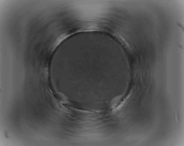 X0000097661457200803071521