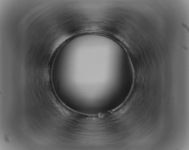 X0000097661458200803071521