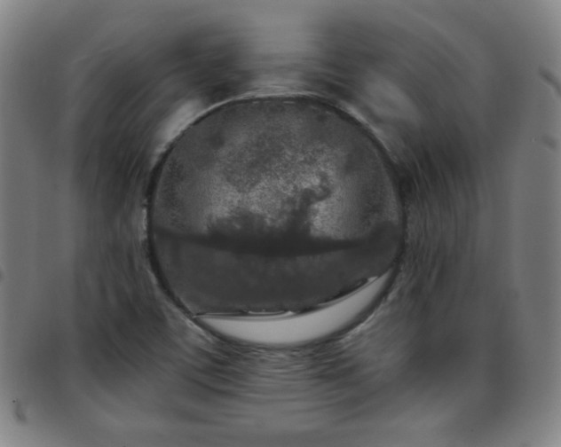 X0000097661459200803071521