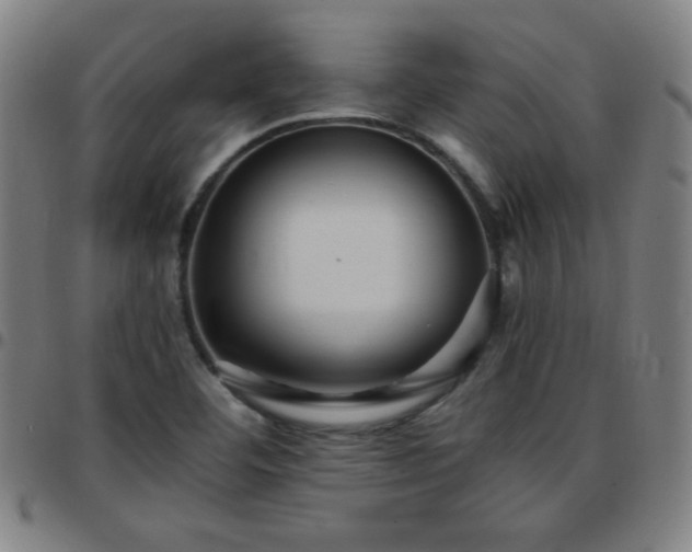 X0000097661460200803071521