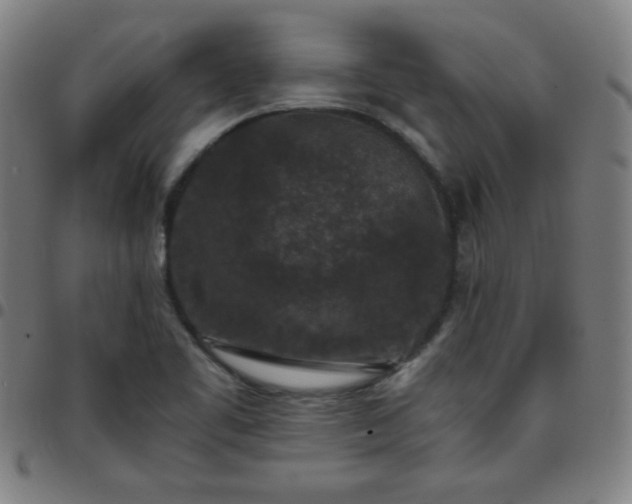 X0000097661461200803071521