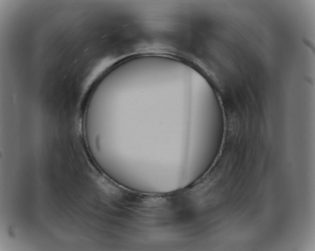 X0000097661462200803071521