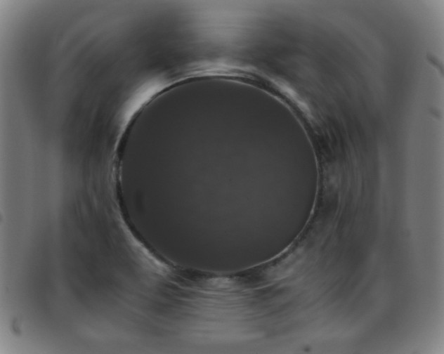 X0000097661463200803071521
