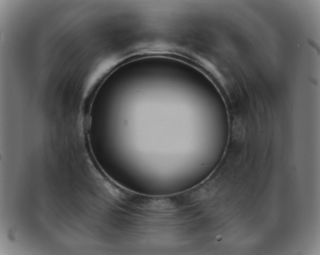 X0000097661464200803071521