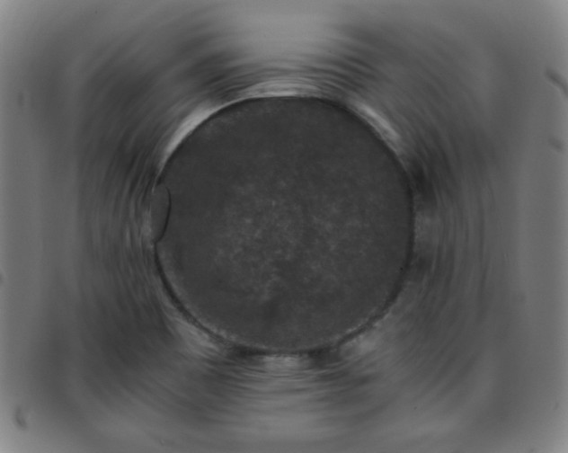 X0000097661465200803071521