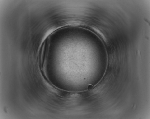X0000097661467200803071521