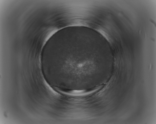 X0000097661468200803071521