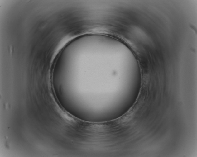 X0000097661470200803071521