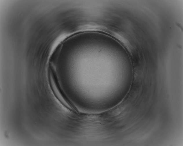 X0000097661472200803071521