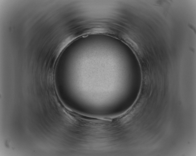 X0000097661473200803071521