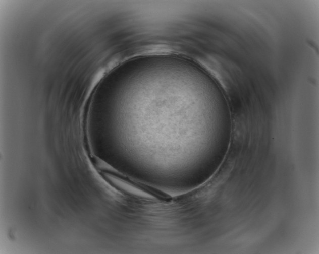X0000097661475200803071521