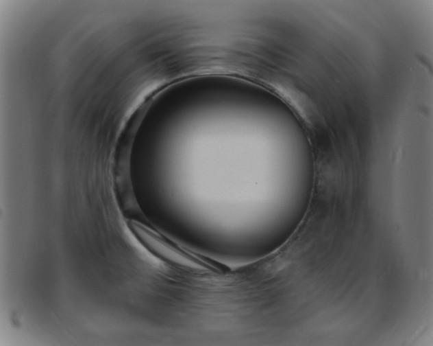 X0000097661476200803071521