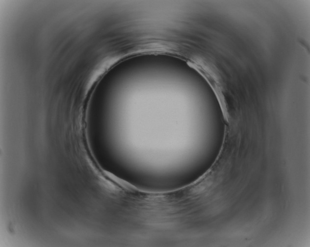 X0000097661477200803071521