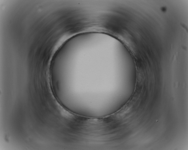 X0000097661478200803071521