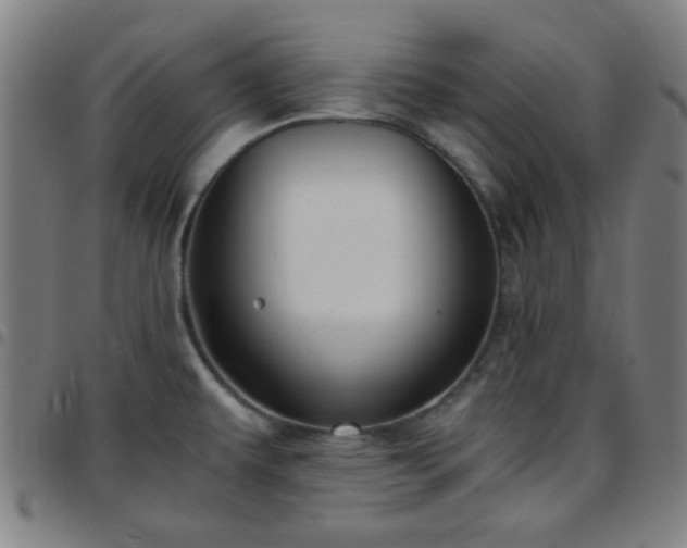 X0000097661479200803071521
