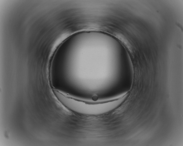 X0000097661480200803071521