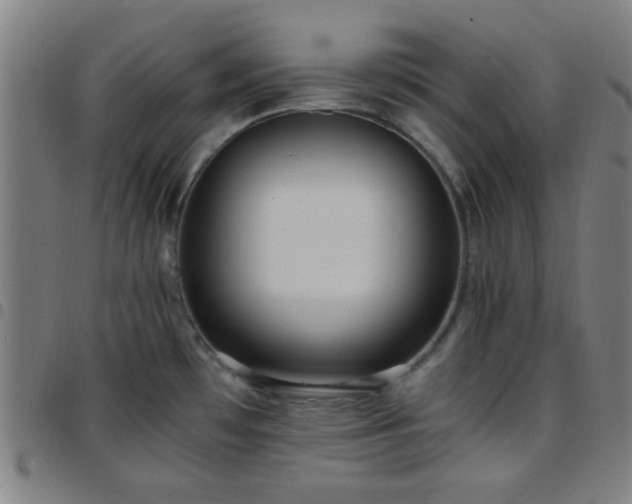X0000097661481200803071521