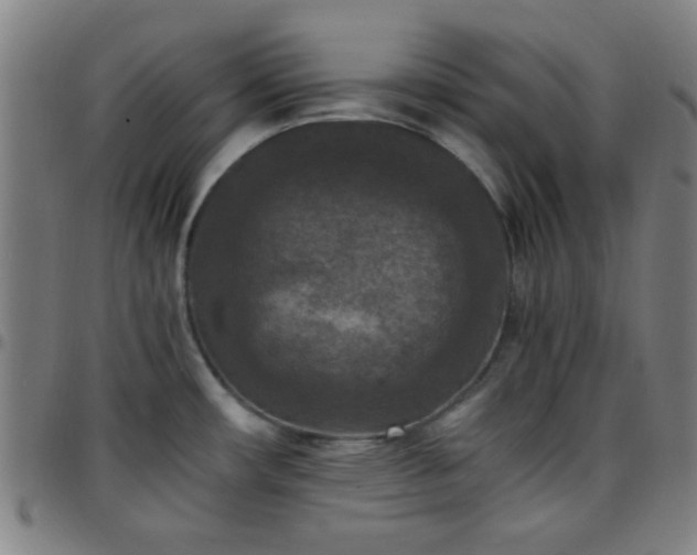 X0000097661482200803071521