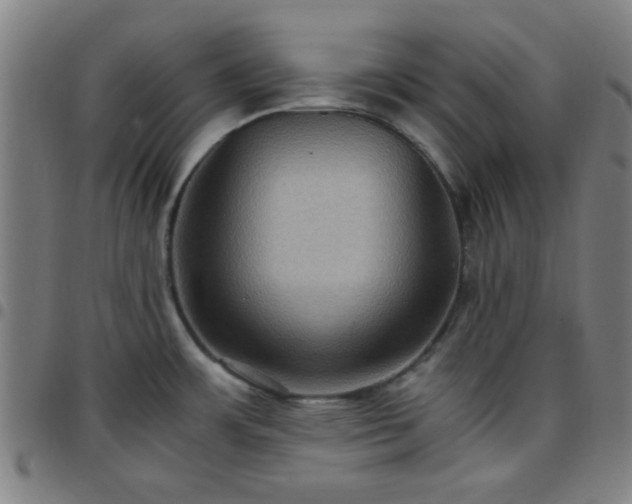 X0000097661483200803071521