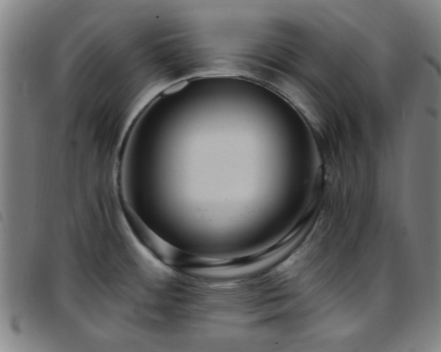 X0000097661484200803071521
