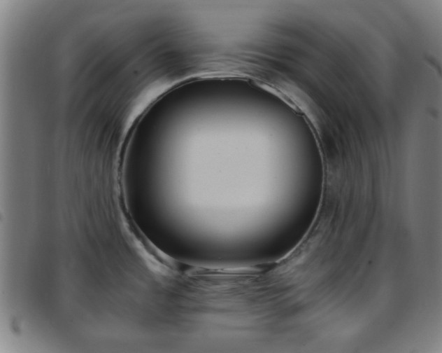 X0000097661485200803071521