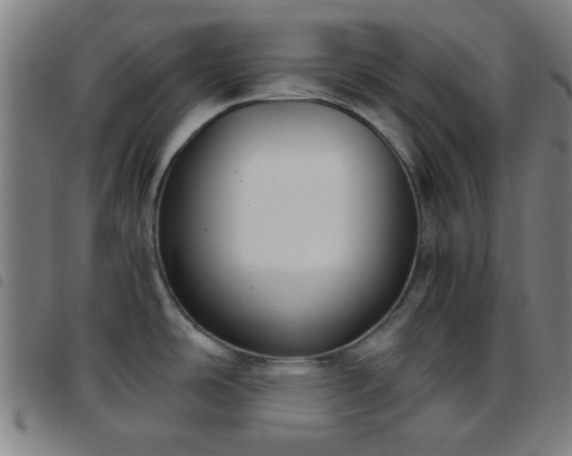 X0000097661486200803071521