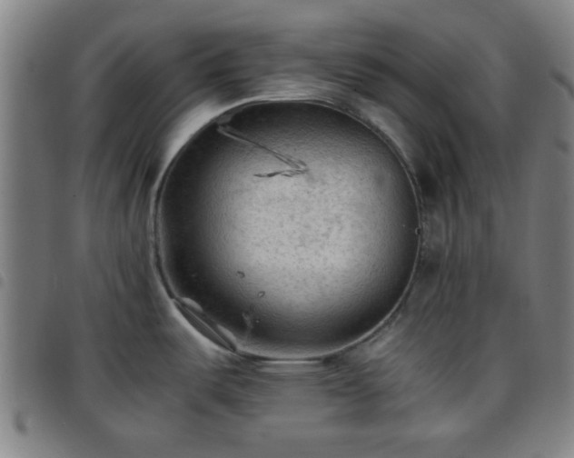 X0000097661487200803071521