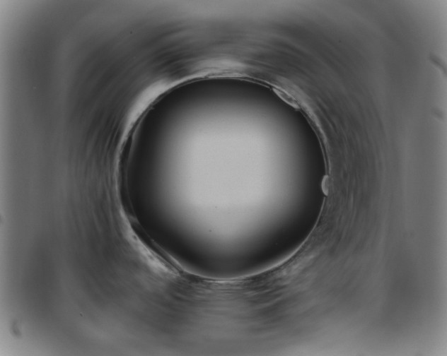X0000097661488200803071521