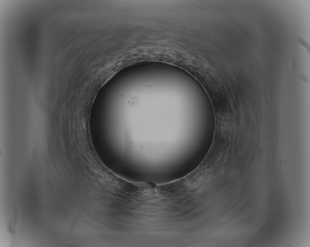 X0000097661489200803071520