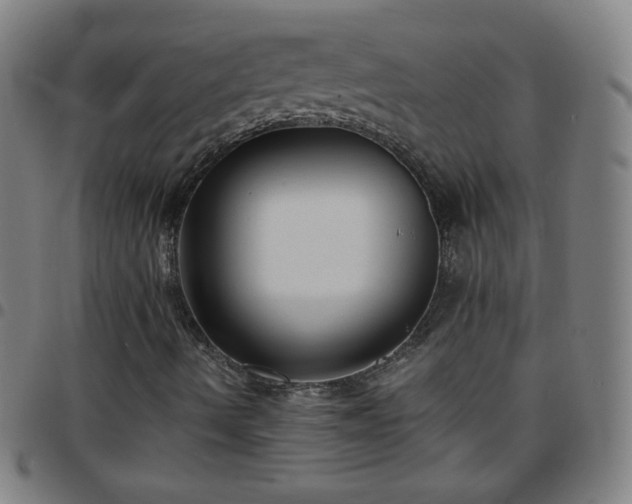 X0000097661490200803071520