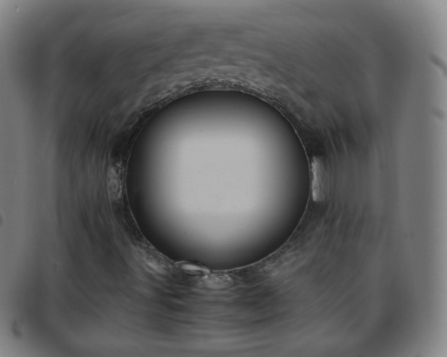 X0000097661491200803071520