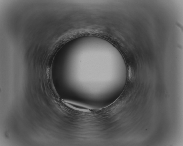 X0000097661492200803071520