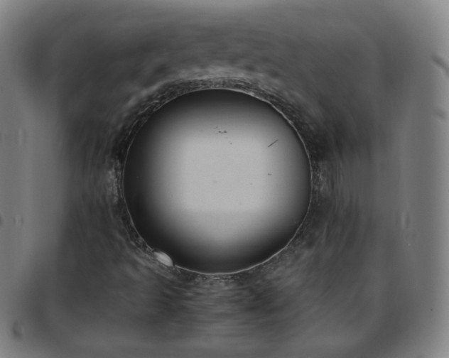 X0000097661493200803071520