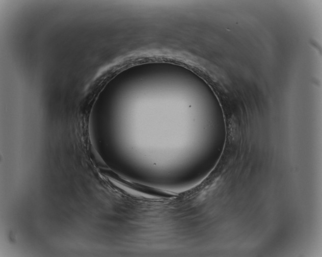X0000097661494200803071520
