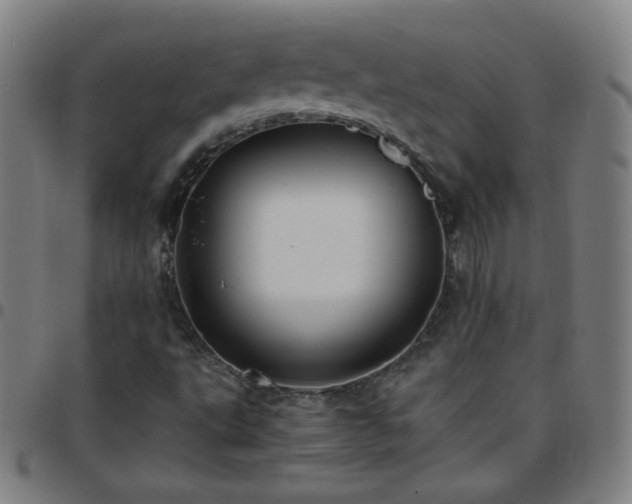 X0000097661495200803071520